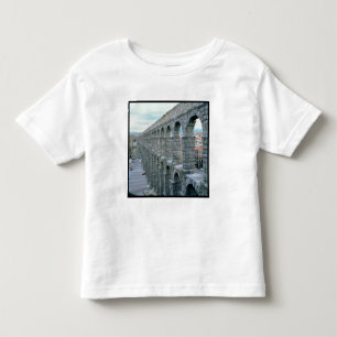 T-shirts Vista do aqueduto romano que data provavelmente