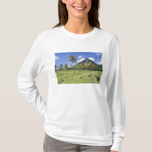 T-shirts vista do Gros Piton ao longo da trilha histórica e