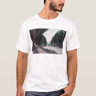 T-shirts Vista oriental em StreetLewiston principal,