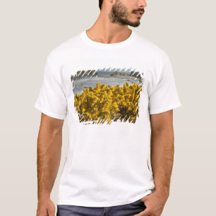 T-shirts Vistas costeiras, Bandon, Oregon