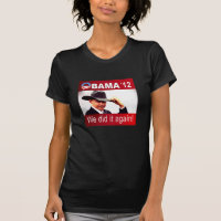 Vitória 2012 de Barack Obama