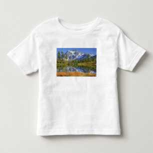 T-shirts WA, Área de Recreação Heather Meadows, Mt.