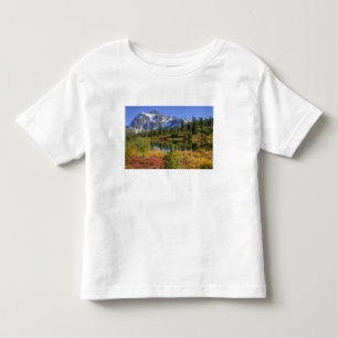 T-shirts WA, Área de Recreação Heather Meadows, Mt. 2