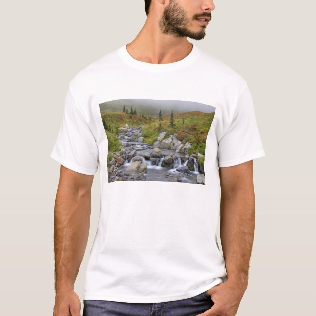 T-shirts WA, Parque Nacional Mt. Rainier, Edith Creek (Frente)