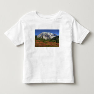 T-shirts WA, Parque Nacional Mt. Rainier, Paradise Valley