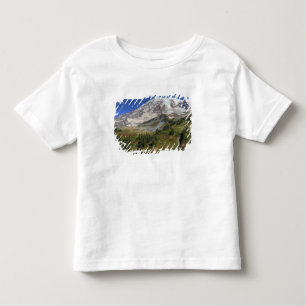 T-shirts WA, Parque Nacional Mt. Rainier, vista da