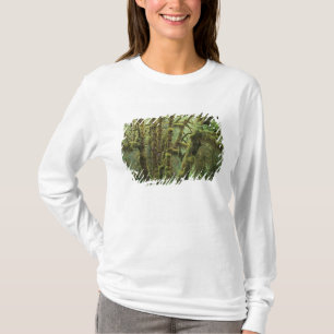 T-shirts WA, Parque Nacional Olímpico, Floresta Chuvosa de