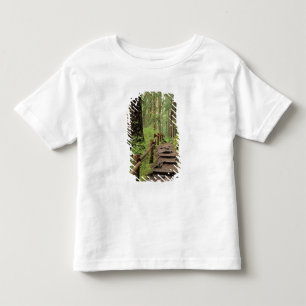 T-shirts WA, Parque Nacional Olímpico, Vale de Sol Duc, flo