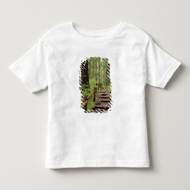 T-shirts WA, Parque Nacional Olímpico, Vale de Sol Duc, flo (Frente)