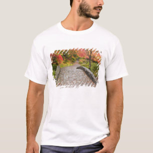 T-shirts WA, Seattle, Arboreto do Parque de Washington,