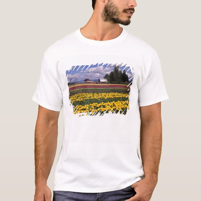 T-shirts WA, Skagit Valley, Skagit Valley Tulip (Frente)