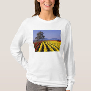 T-shirts WA, Vale do Skagit, Tulipa do Vale do Skagit 2