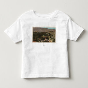 T-shirts Wenatchee, o olho de WABird do rancho no vale