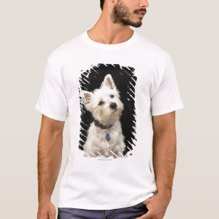 T-shirts Westie (terrier ocidental das montanhas) com colar