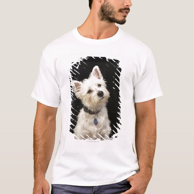 T-shirts Westie (terrier ocidental das montanhas) com colar (Frente)