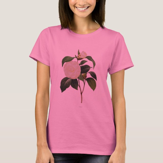 T-shirts White Camellia, 1833 (Frente)