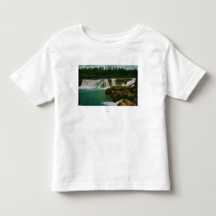 T-shirts Willamette cai em Portland