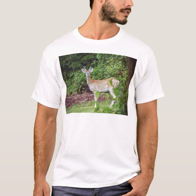 T-shirts Young Buck em Velvet (Frente)