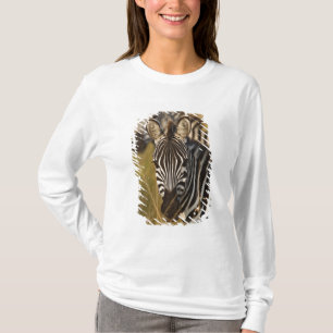 T-shirts Zebra de Burchell no capim alto de verão, Masai