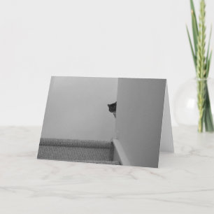 Tabby Cat - Assistindo, cartão