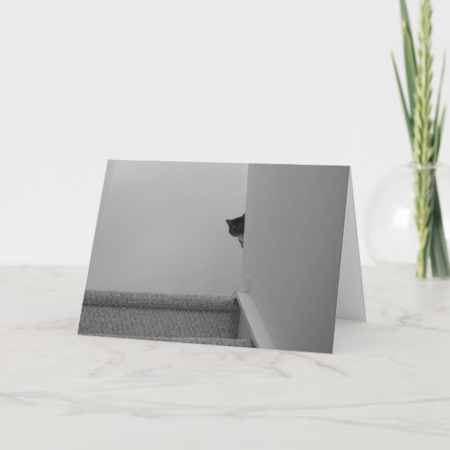 Tabby Cat - Assistindo, cartão (Frente)