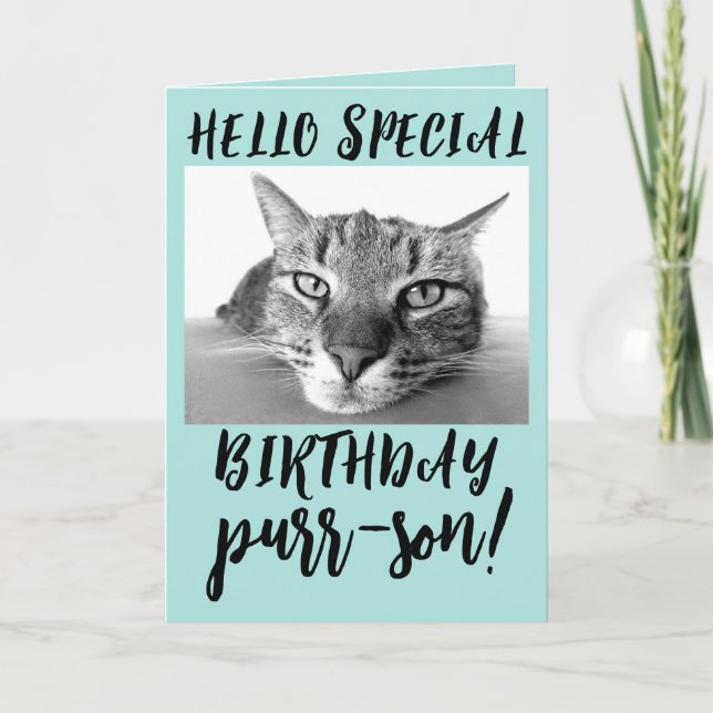 TABBY CAT BIRTHDAY GREETING CARTÕES (Frente)