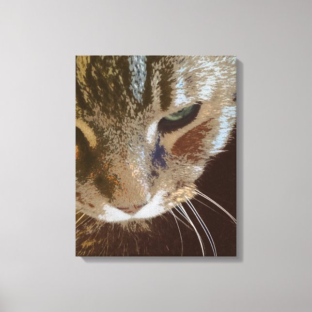 Tabby Cat Close Up Canvas (Frente)