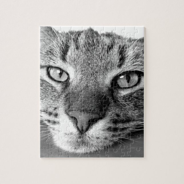 TABBY CAT CLOSEUP QUEBRA-CABEÇA (Vertical)