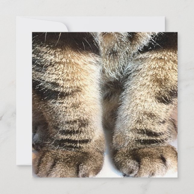 Tabby cat Flat Card, Tabby, Tabby Legs, (Frente)