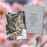 Tabby Kitten Pensando no seu Cartão de Mensagem