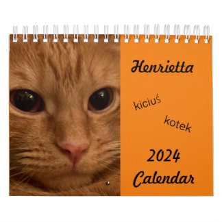 Tabby Laranja Cat 2024 Calendário com palavras POL