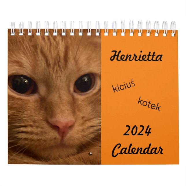 Tabby Laranja Cat 2024 Calendário com palavras POL (Capa)