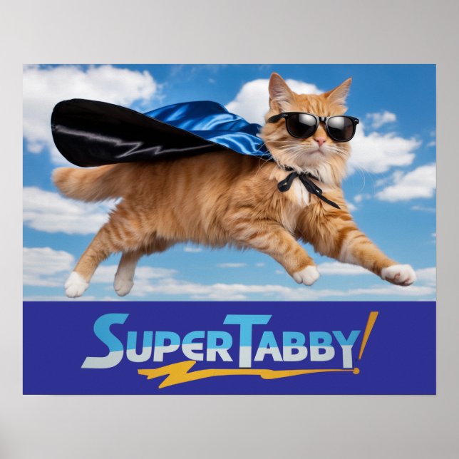 Tabby Super Herói Poster (Frente)