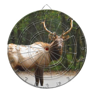 Tabla Dardos 2 Elk Rocky Mountain