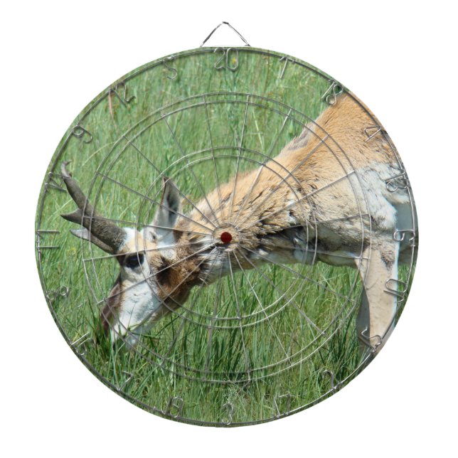 Tabla Dardos A11 Pronghorn Antelope Buck Grazing (Frente)