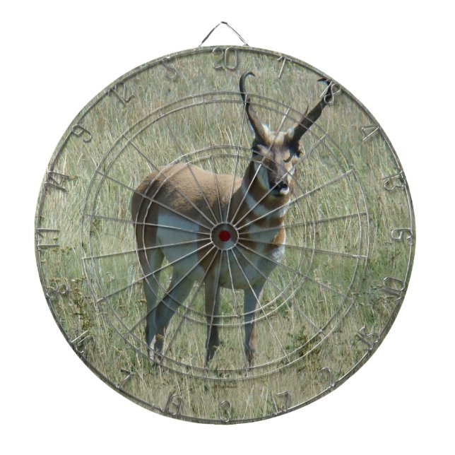 Tabla Dardos A13 Pronghorn Antelope Buck (Frente)