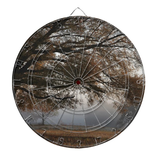 Tabla Dardos Alcance (Frente)