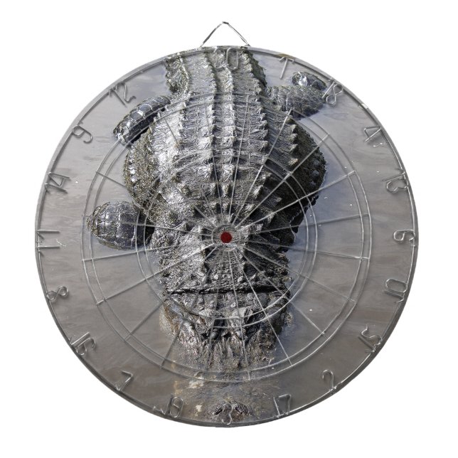 Tabla Dardos Alligador (Frente)