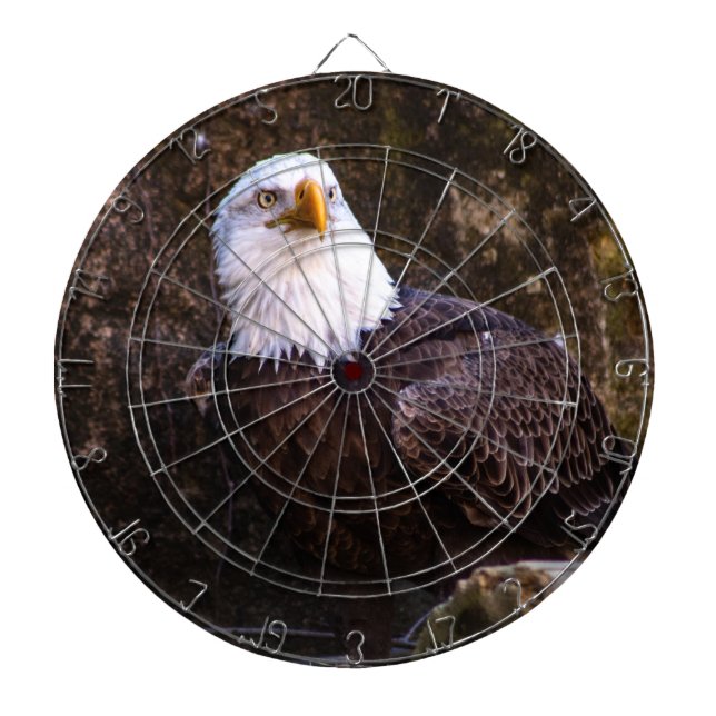 Tabla Dardos Bald Eagle (Frente)