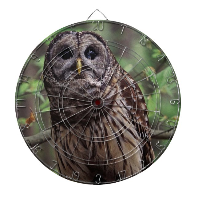 Tabla Dardos Barred Owl (Frente)