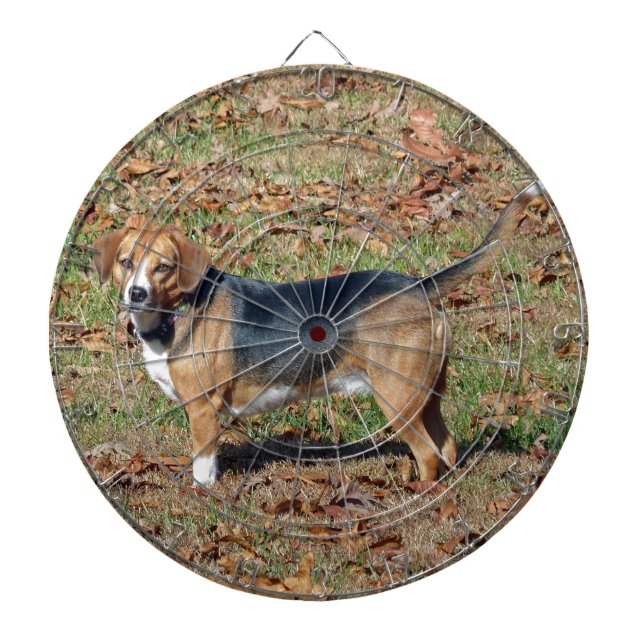 Tabla Dardos Beagle (Frente)