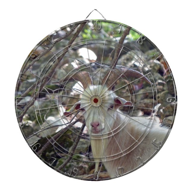 Tabla Dardos Billy Goat (Frente)