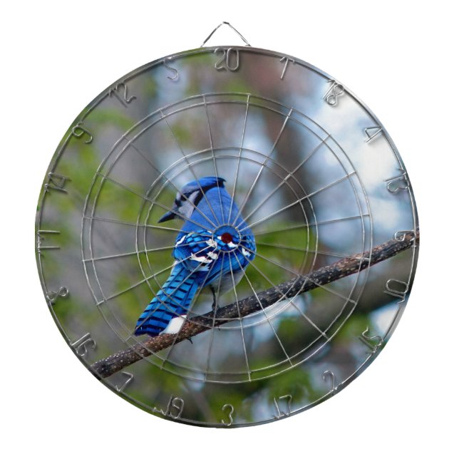 Tabla Dardos Blue Jay (Frente)