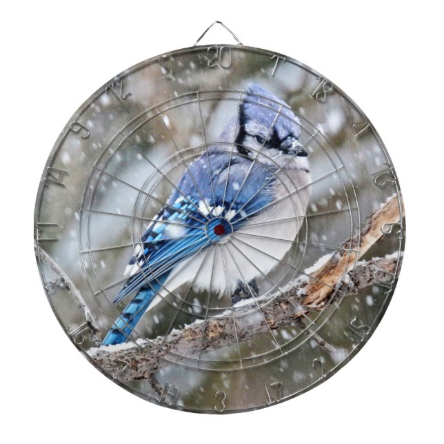 Tabla Dardos Blue Jay em uma tempestade de neve (Frente)