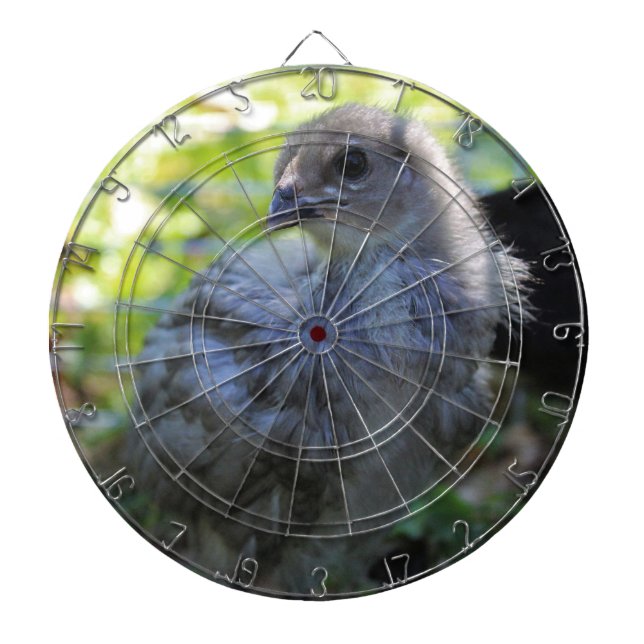 Tabla Dardos Bluebell (Frente)