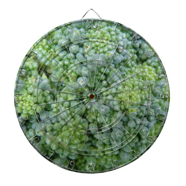 Tabla Dardos Broccoli Macro Dart Board (Frente)