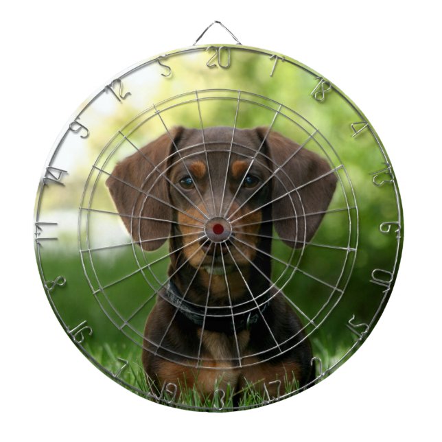 Tabla Dardos Brown Dachshund Puppy (Frente)