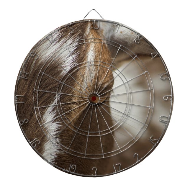 Tabla Dardos Cabra (Frente)