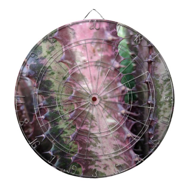 Tabla Dardos Cactus (Frente)
