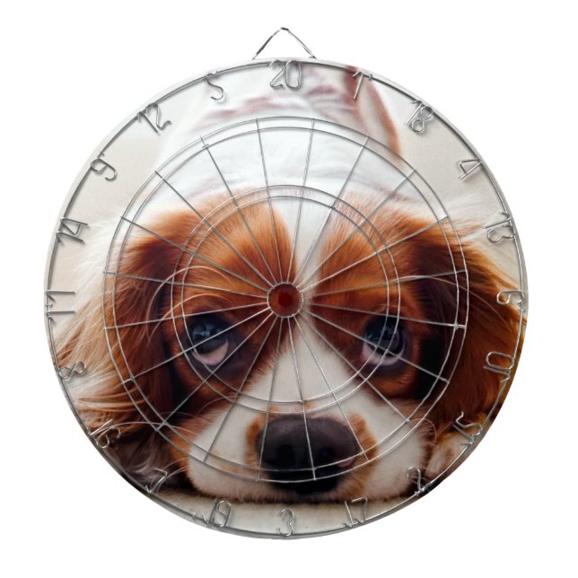 Tabla Dardos Cavalier King Charles Spaniel (Frente)